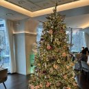 손가명가 | 다시 돌아온 시청 광화문 을지로입구 근처 맛집 모음 zip🤤