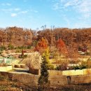 부천자연생태공원 이미지