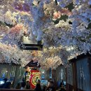 수원-0539 이미지