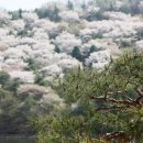 희원 이미지