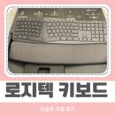로지텍 무선 인체공학 키보드 한 달 사용 후기! 손목 통증에 효과 있었을까?