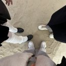 내가 사랑한 전시들