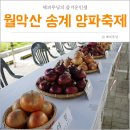 제천여행 : 월악산 송계양파축제 여름축제 다녀왔어요