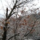 은총한의원 이미지