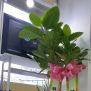 리얼부동산공인중개사사무소 이미지