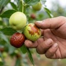 9월 15일(화) 늦매미가 울었다, 아직 내 계절은 끝나지 않았다고 이미지