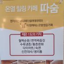 따숨허브다이어트
