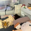 베낌터 이미지