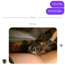 서초대로34가길52-11 | [공지] 나이 반납할게요 깔끔하게 사용했어요 기스없구요 | 2026-1