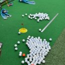 대하골프아카데미 이미지