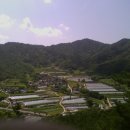 태자바위 Daum카페