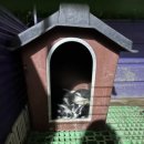 와쎄 본점 이미지