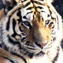 서울대공원 이미지