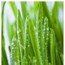 수원시 팔달구 팔달문로56번길 이미지