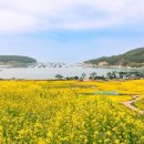 청산면축제추진위원회 네이버블로그