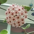 글벗작은도서관 이미지