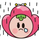 (주)케어풀 이미지