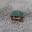 상면주유소 이미지