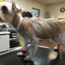 이루동물병원 이미지