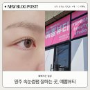 영주빌딩 | 영주 속눈썹 잘하는 곳 &#34;예뽐뷰티&#34; 속눈썹펌 후기