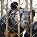 연합농장 이미지