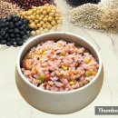 Thumbody Fit 이미지