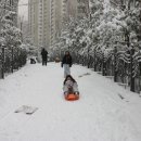 동심