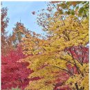 행정사사무소 솔루션 이미지