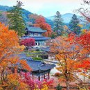 마곡사 주차장2 이미지