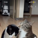 춘봉 이미지