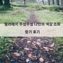 컬러매치 | 컬러매치 주섬주섬 나만의 색감 조화 찾기 후기
