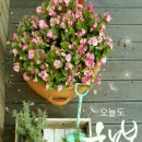 킹스타당구장 네이버블로그