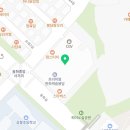 몽실놀다가개