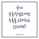 가산인력직업소개소 | 국내 유료직업소개소 등록을 고려하고 있다면?