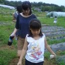 승윤농장 Daum카페