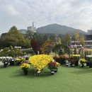 새삶 이미지