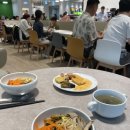 고대1096 | 10월 이집트 여행🇪🇬 기자 피라미드 및 스핑크스, 카이로 시타델, 무함마드 알리 모스크, 아부타렉...