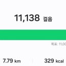D-19 이미지
