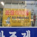 길약국 이미지