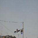 조영무선생 묘역 이미지