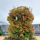 대장경테마파크 이미지