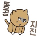 짝지식당 이미지