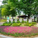 느티나무길 이미지