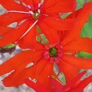 차경농장 이미지