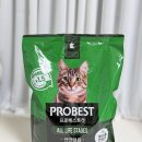 고양이사료 고민 끝? 프로베스트 캣 다묘가정 급여 후기