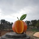 서귀포감귤박물관 이미지