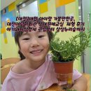대전 아이랑 가볼만한곳,대전어린이회관 생태원예교실 체험 후기아기돼지삼형제 관람부터 상상누리숲까지