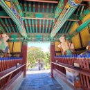 천년 행정사 이미지