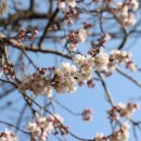 구례 버스킹 공연 이미지