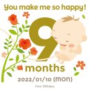 스튜디오밤부 이미지